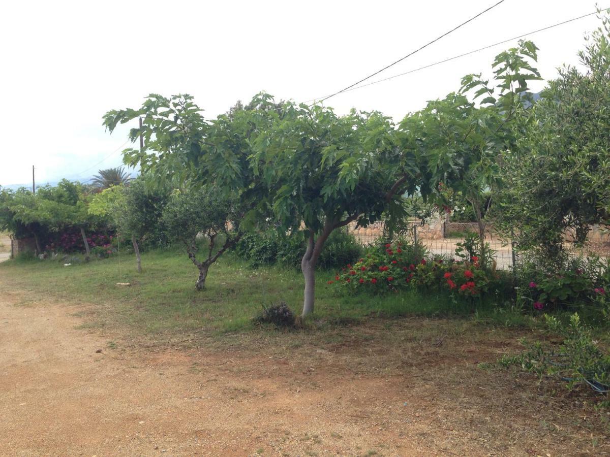 פראנגוקאסטלון Kioni Villas מראה חיצוני תמונה