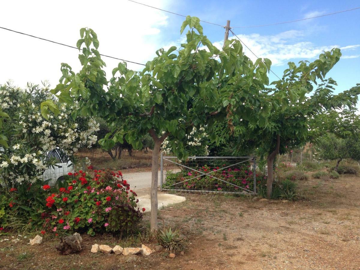 פראנגוקאסטלון Kioni Villas מראה חיצוני תמונה
