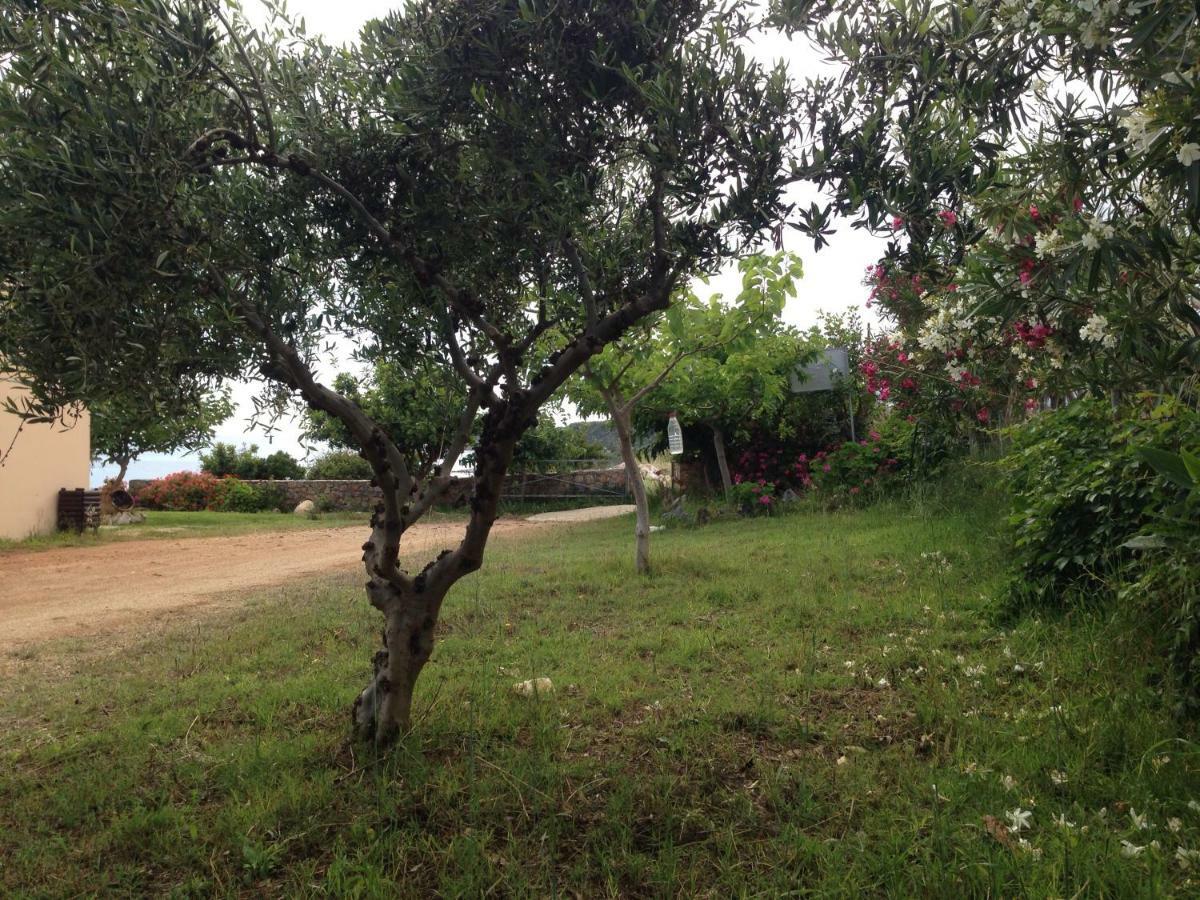 פראנגוקאסטלון Kioni Villas מראה חיצוני תמונה