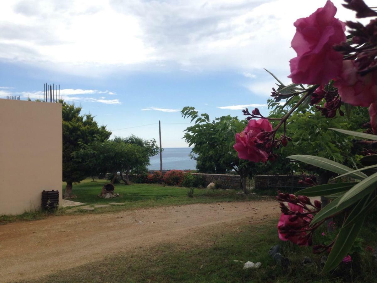 פראנגוקאסטלון Kioni Villas מראה חיצוני תמונה